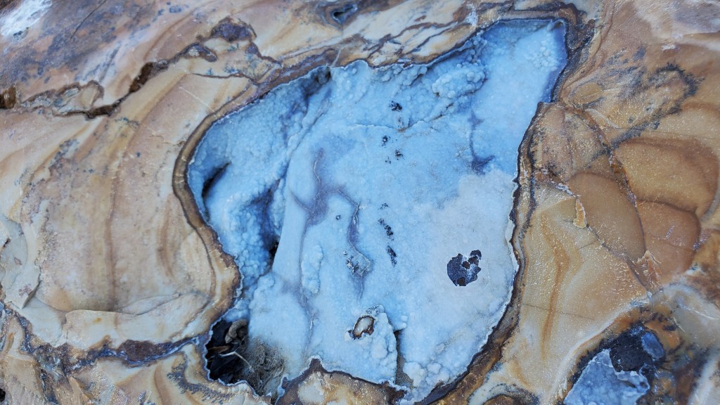 Wasco Picture Jasper Rock Shop Currently Rockhounding